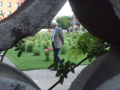 Un visitatore nel giardino delle rose
